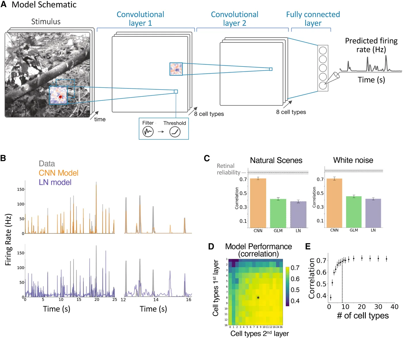 Three-layer convolutional model of the retina compared with recorded interneurons