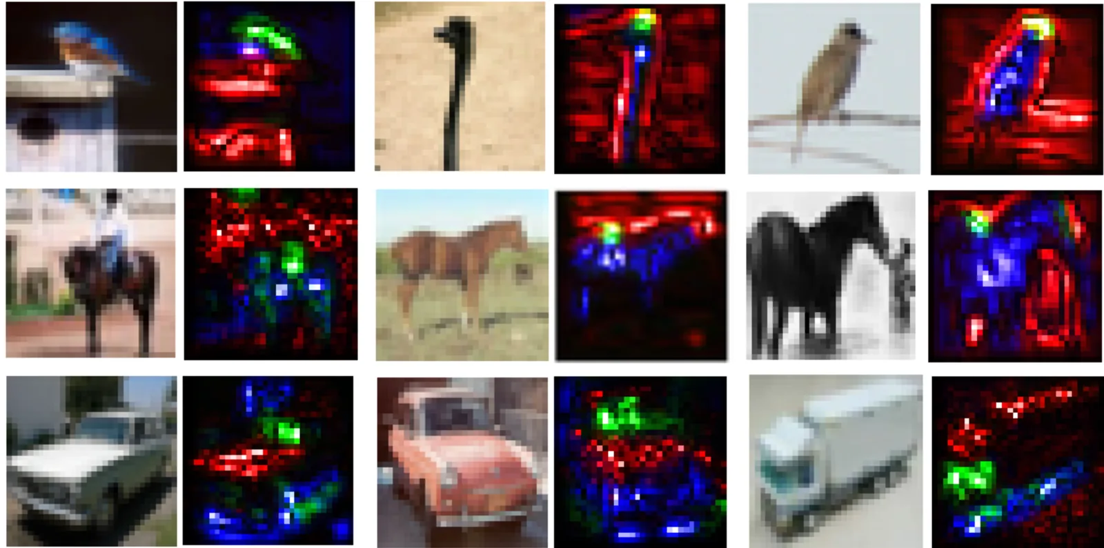 CNN with grouped, sparsely connected network pathways